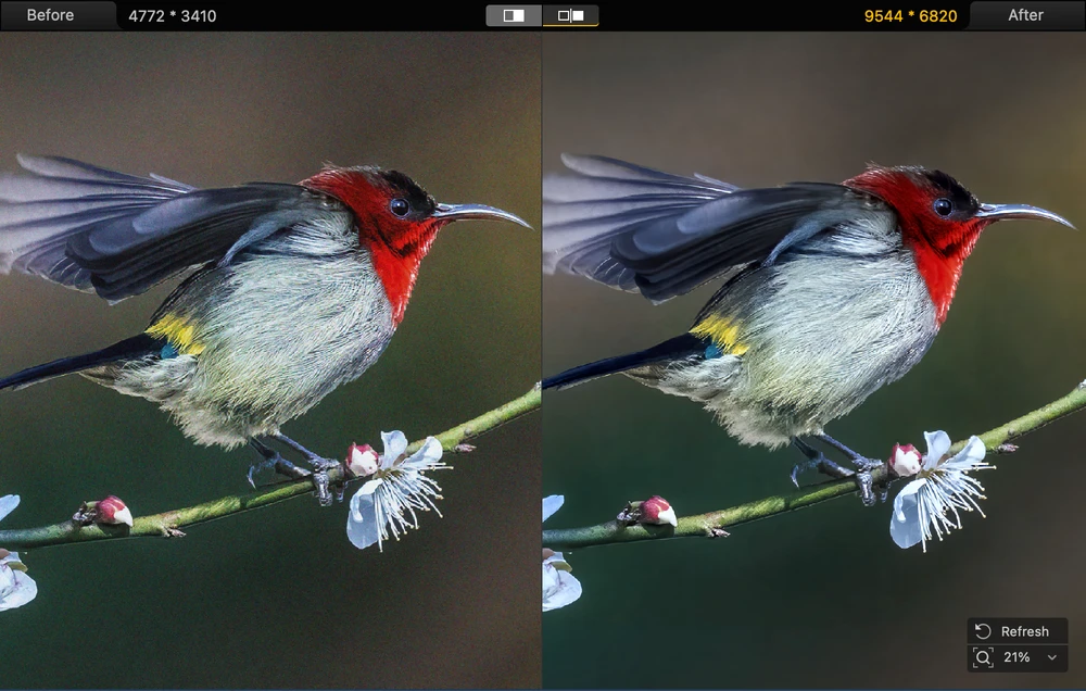 Antes del edit creativo: dónde encaja la mejora de imagen en un flujo fotográfico