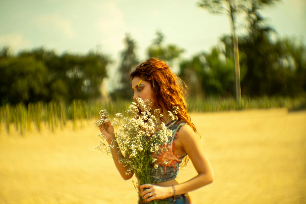 Chinese Lenses: Professional Quality Within Everyone's Reach