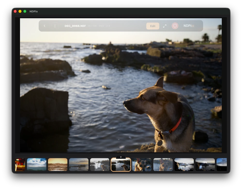 Now we can Catalog Our Images in NDPix