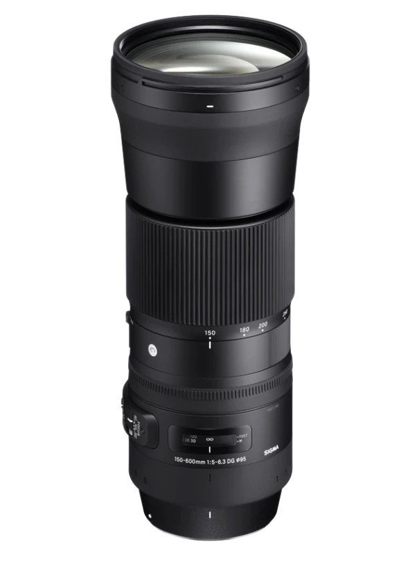 Sigma 150-600mm f5-6.3 DG OS HSM | Contemporary Lens