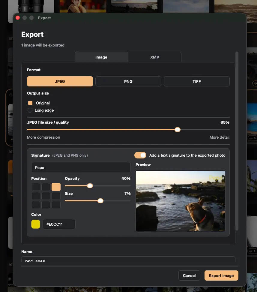 Export with signature watermark