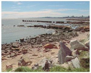 En las inmediaciones