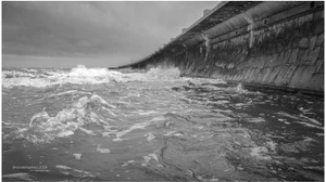 La grandeza de nuestro entorno