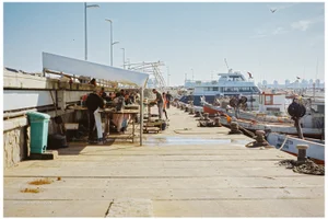 Habitantes del muelle