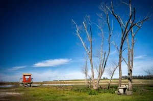 Protagonistas de un largo invierno