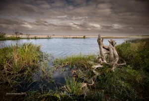 Previo a la Tormenta