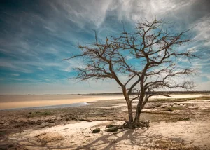 Paisajes que Inspiran