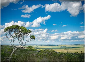 En la cima de un cerro