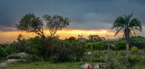 Atardecer en las Sierras de Carapé