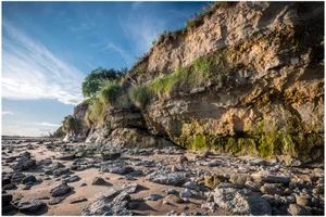 Las barrancas de San Pedro