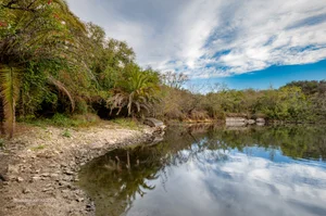 Explorando campo adentro