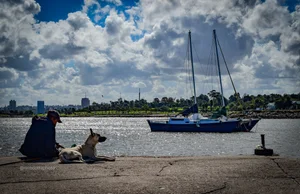 Un hombre y su amigo