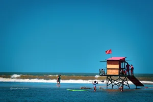 Las playa y sus ocupantes