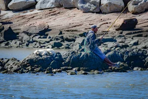Lindo para una siesta
