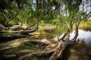 Sobre el lecho del río