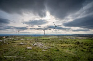 Perdidos en el horizonte