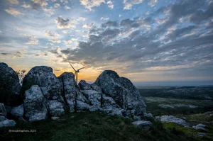 Con la cámara en la mano
