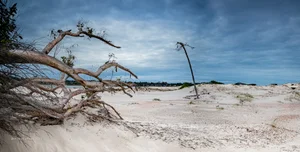 Espacio para recargar las energias