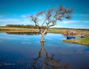 Reflejo en la Laguna